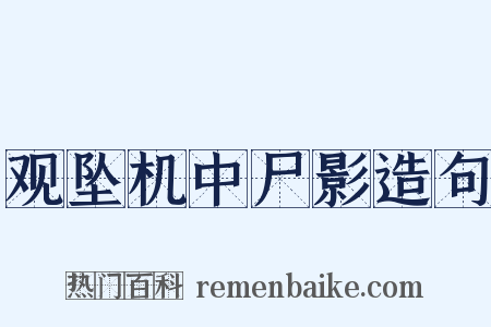 观坠机中尸影造句是什么意思的图片
